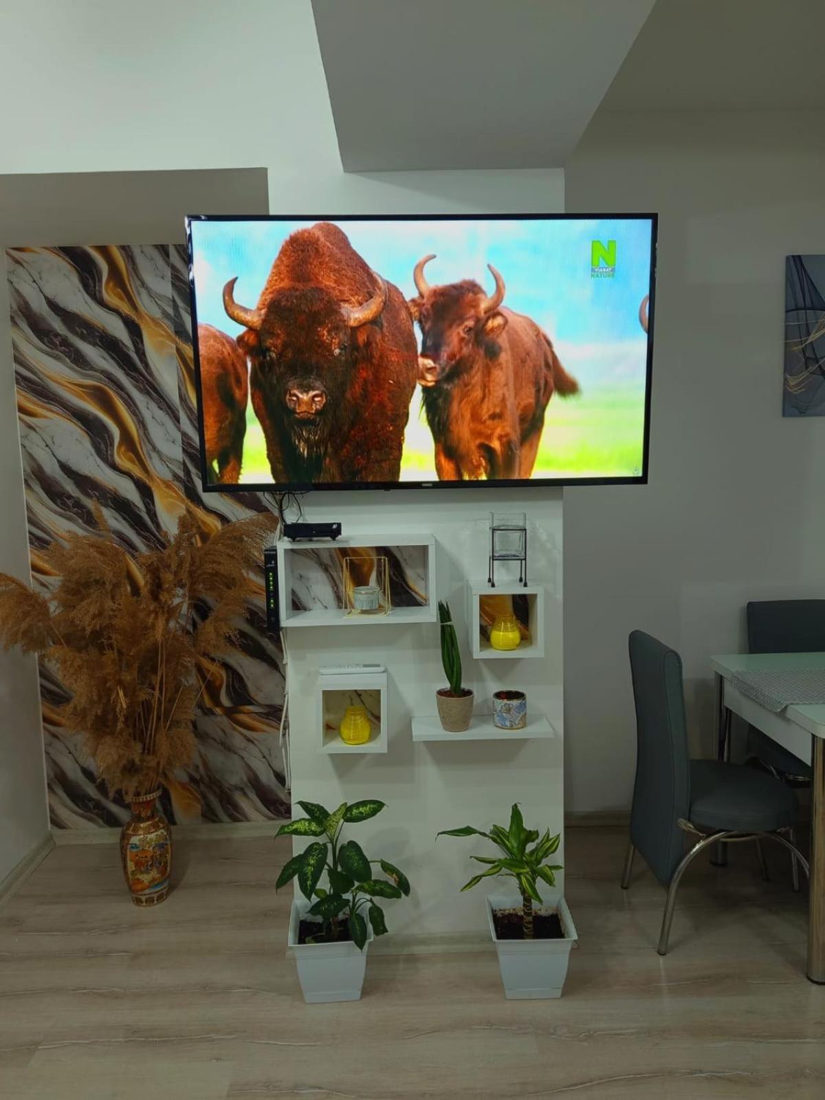 Maksim Apartments سكوبجي المظهر الخارجي الصورة
